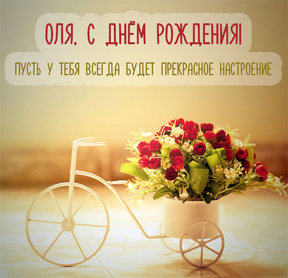 Оля, с Днем рождения и прекрасного настроения - корзина цветов на велосипеде